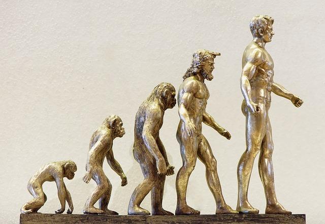 Understanding Your‍ Individual Needs and ‌Goals