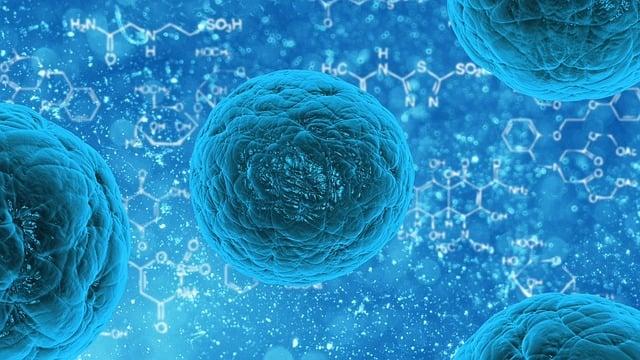 Scientific research Supporting PhenQ Ingredients: What the Studies Reveal