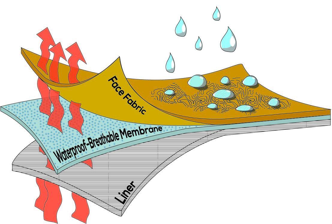 Breathability ‍and Moisture-Wicking Technology: Keeping you Cool During Your Workout