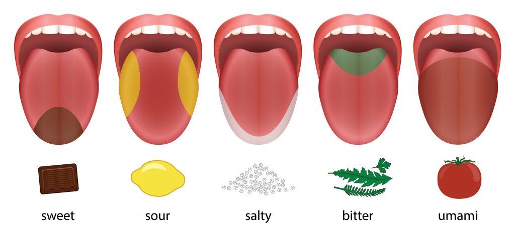 Taste Test:​ Assessing Flavor Profiles and Overall Satisfaction