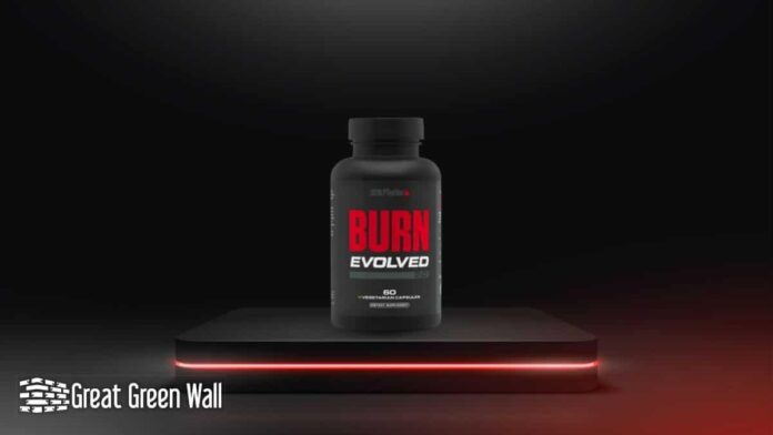 PhenQ Review 2025: Does This Multi-Action Fat Burner Deliver Real Results?